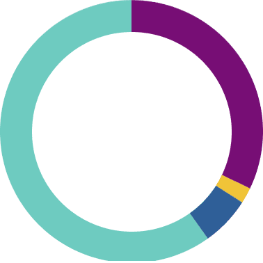 Gráfico circular Fundación porqueViven con cuatro sectores en azul, morado, amarillo y celeste; destaca transparencia