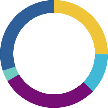 Gráfico circular con cinco segmentos de colores, representando datos de cuidados paliativos pediátricos