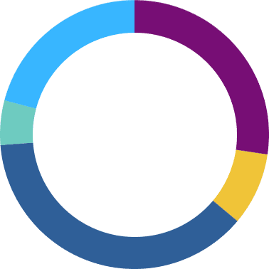 Gráfico circular Fundación porqueViven que ilustra con claridad la distribución de datos sobre