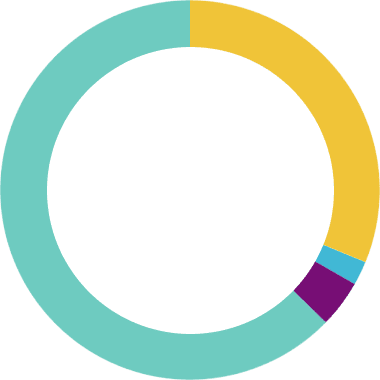 Gráfico circular Fundación porqueViven sobre , mostrando datos con transparencia