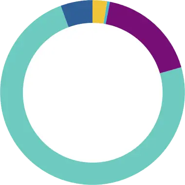 Gráfico circular con cinco colores que destaca la transparencia en en cuidados paliativos pediátricos
