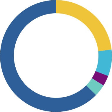 Gráfico circular Fundación porqueViven, con cinco segmentos de colores que comunican datos claros sobre , sin etiquetas ni cifras visibles para un aspecto limpio y profesional